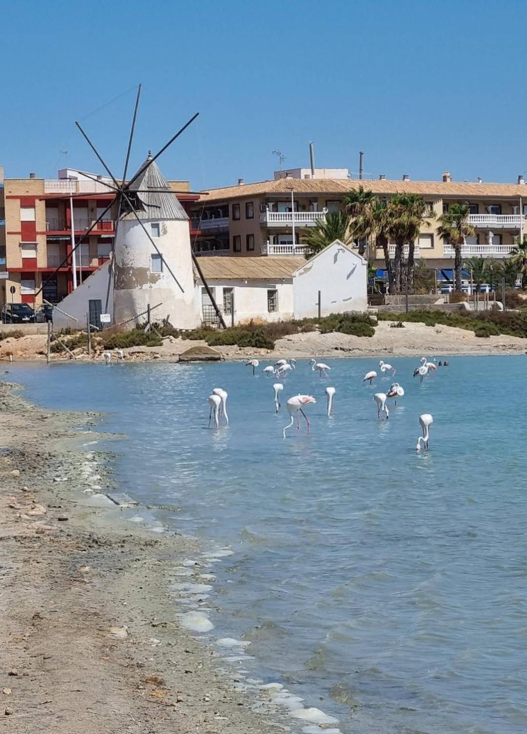 Casa Del Sol Daire San Pedro del Pinatar Dış mekan fotoğraf